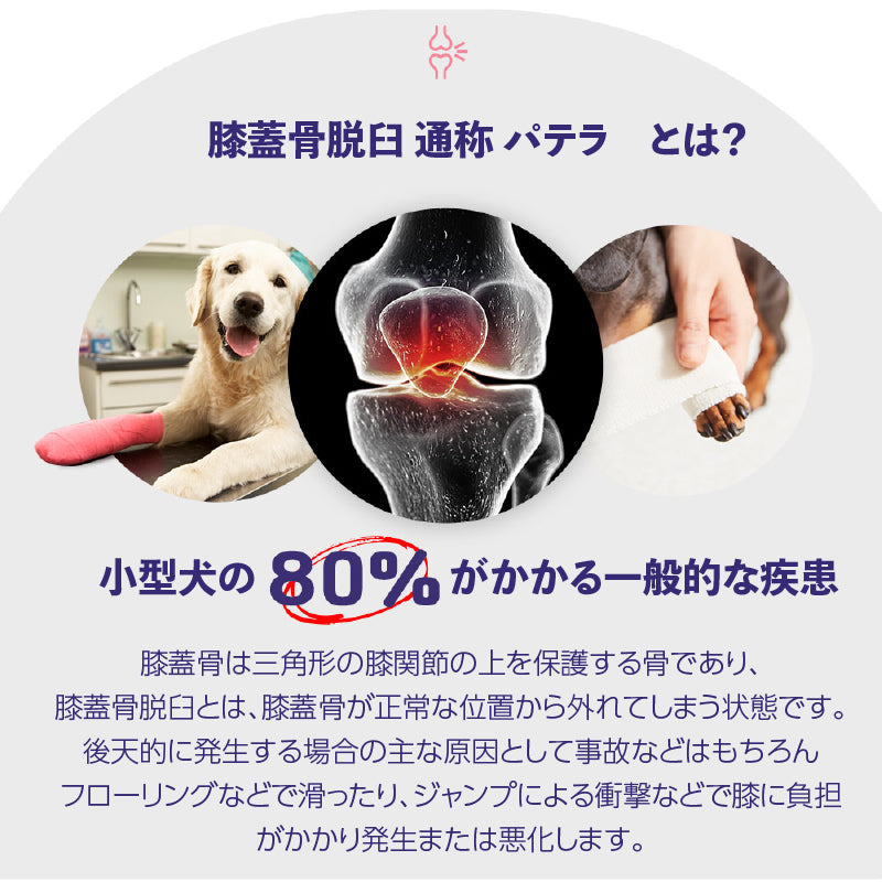 PARKLON ペットシーツ下用マット ペットトイレ