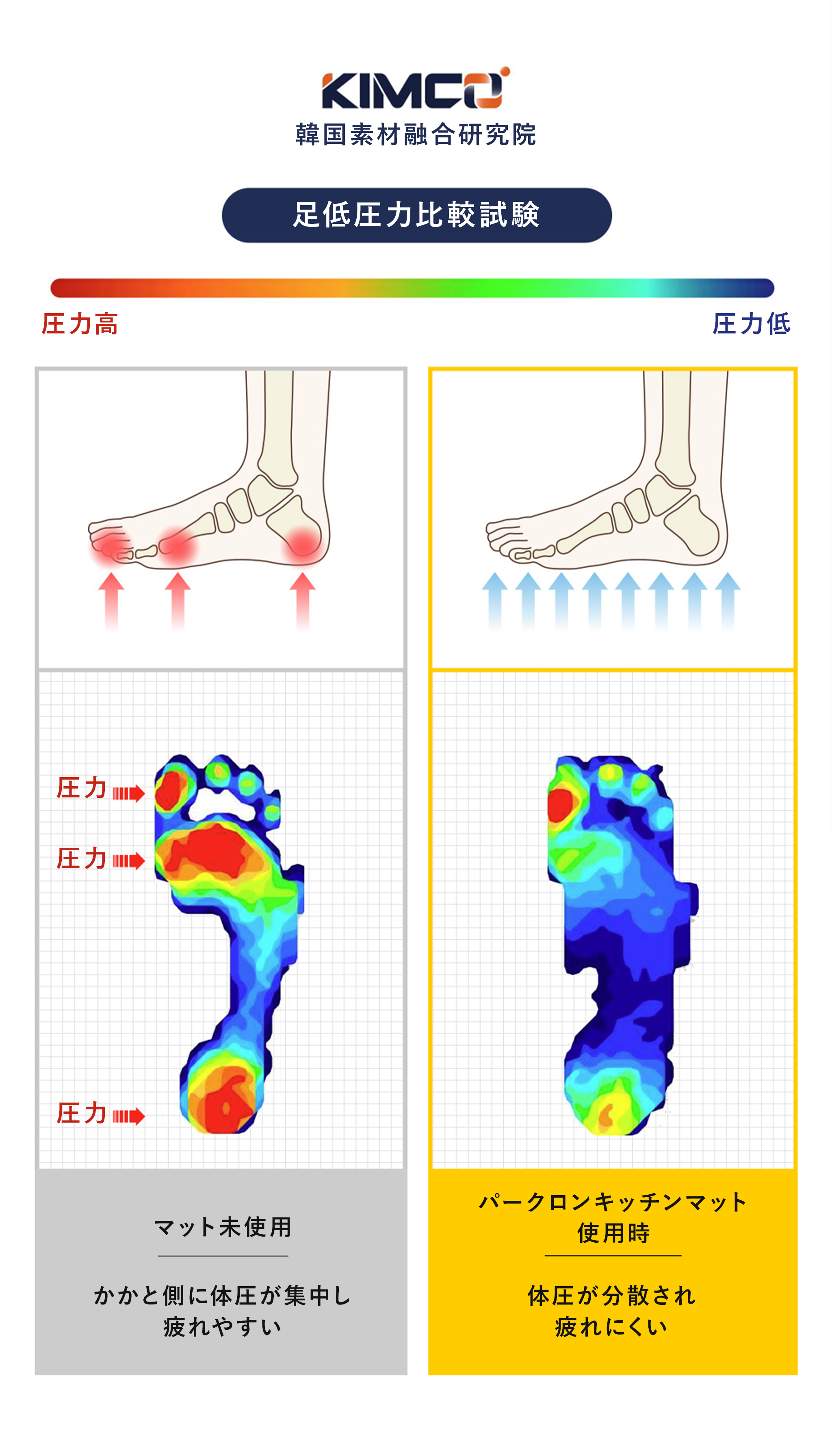 PARKLON 拭けるキッチンマット