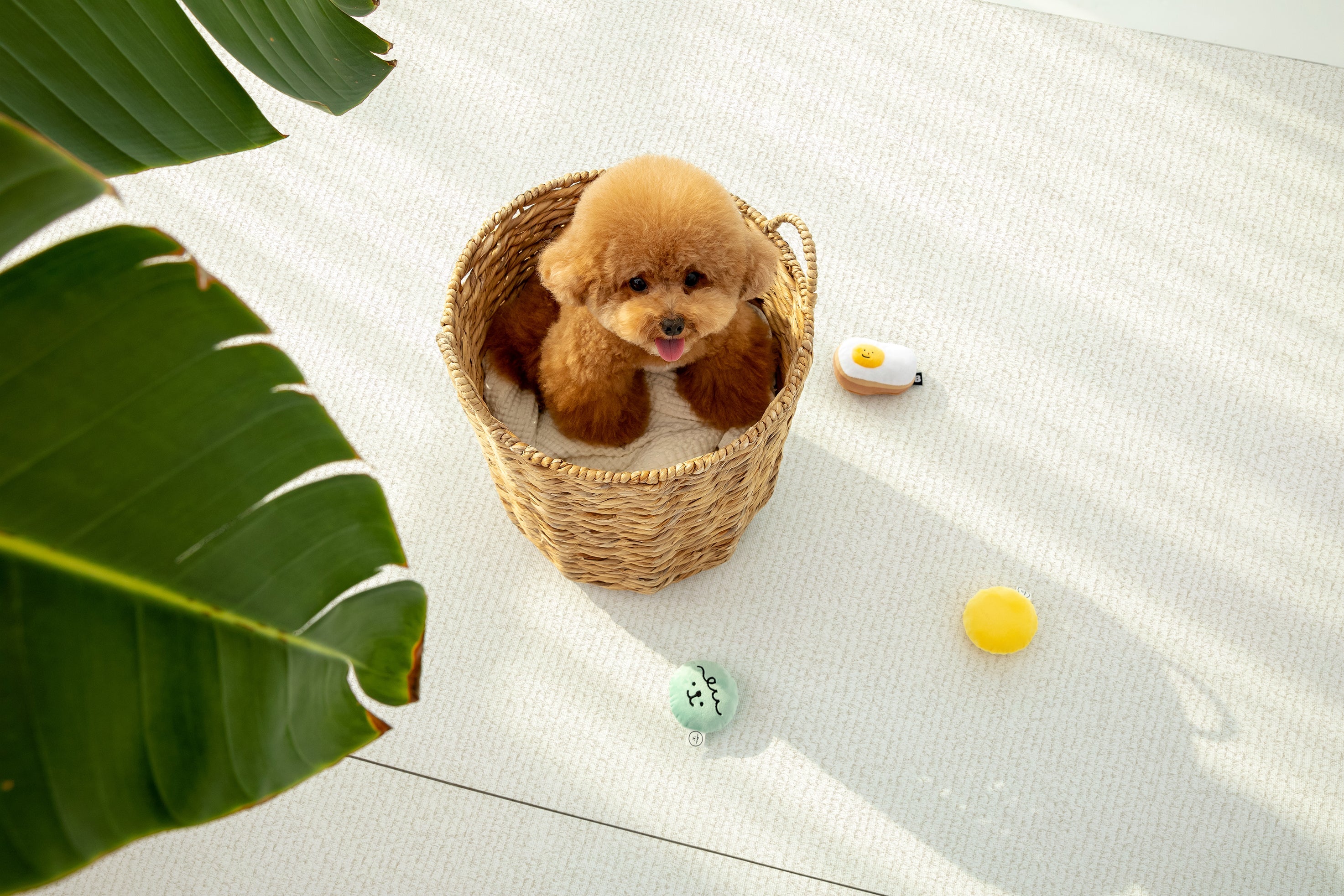 PARKLON ALL PVC ペットロールマット 厚み0.55cm