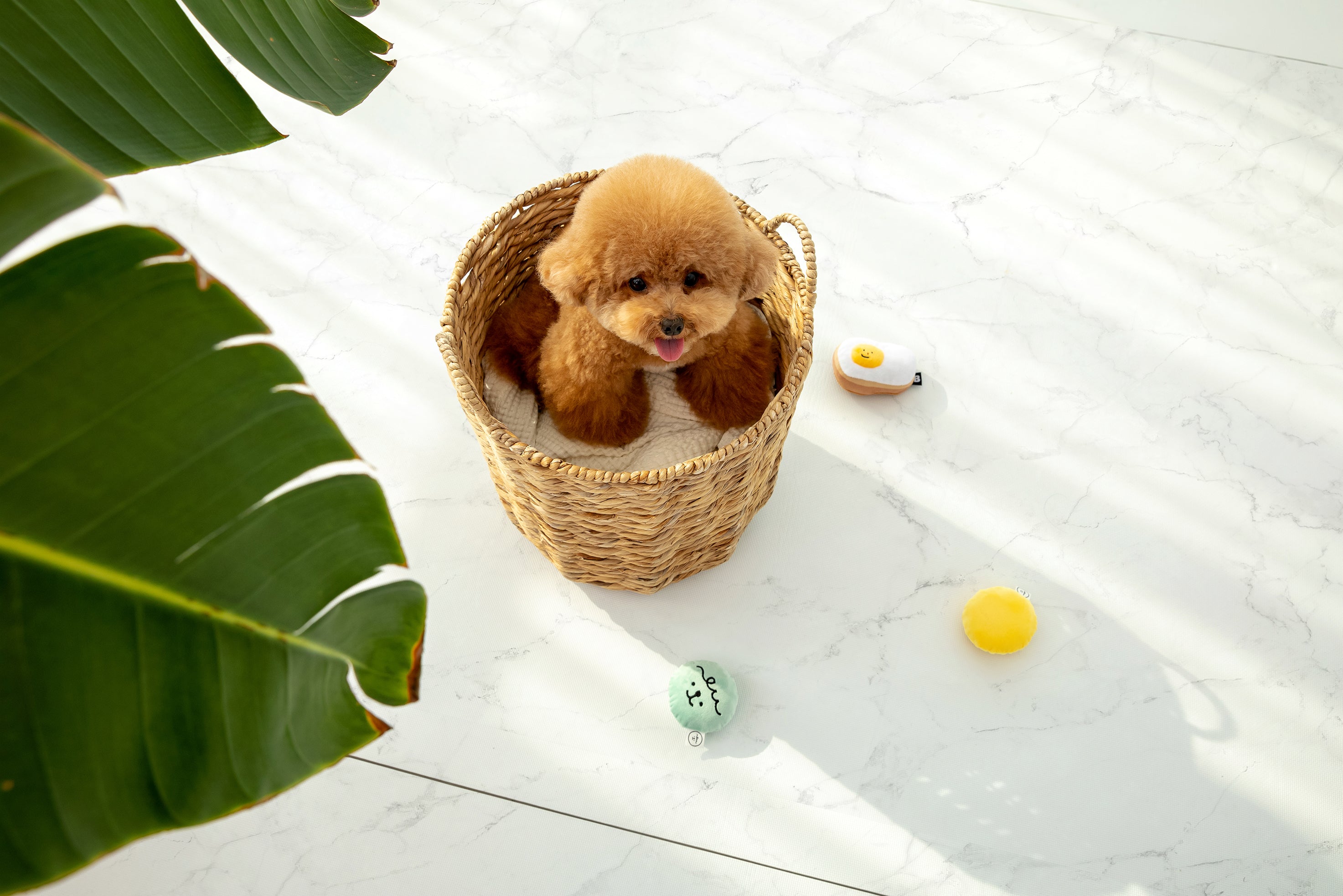 PARKLON ALL PVC ペットロールマット 厚み0.55cm