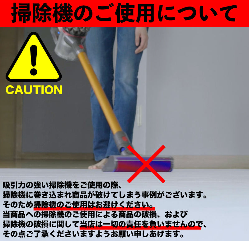 PARKLON 拭けるラグマット 210cm×140cm×0.55cm