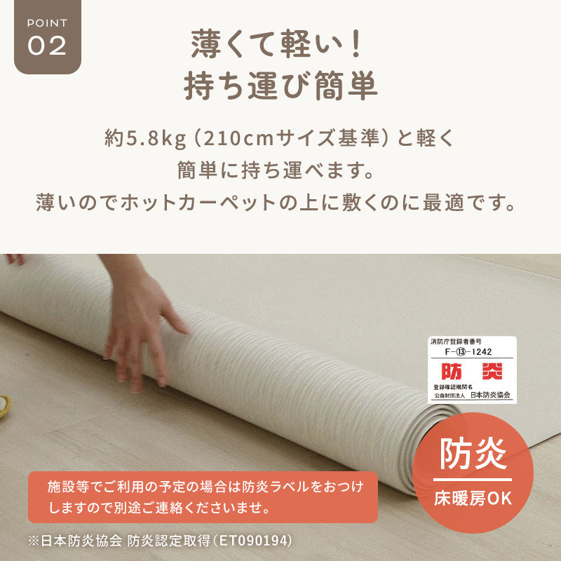 PARKLON やわらかクッションラグ