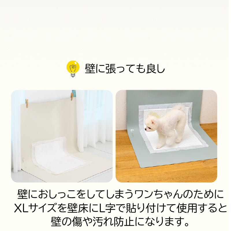 トイレの壁 ペットシーツ